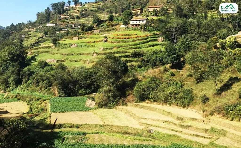 Peaceful Hilltop Escape