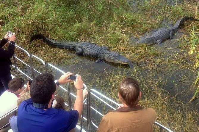 Airboat Tours