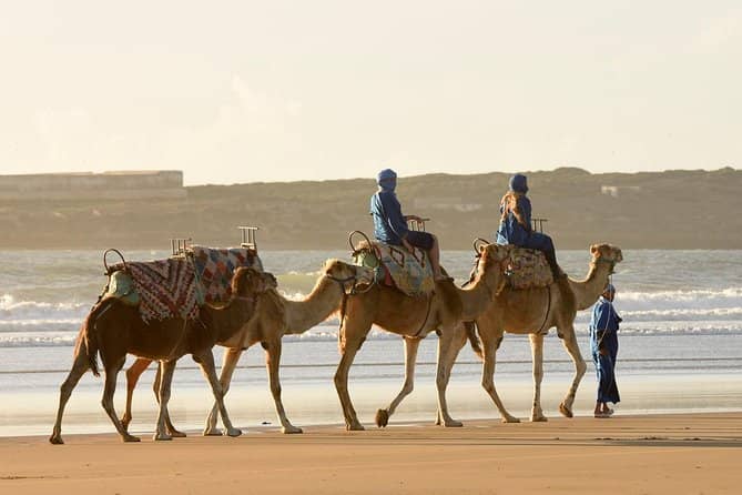 Camel & Horseback Rides