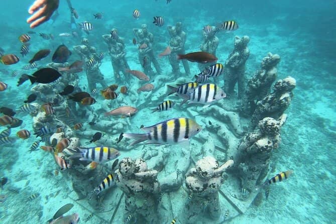 Vibrant Coral Reefs