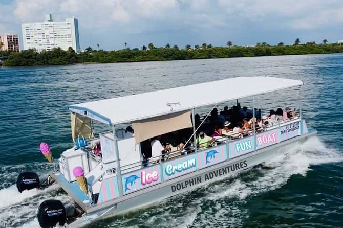 Dolphin Watching Cruises