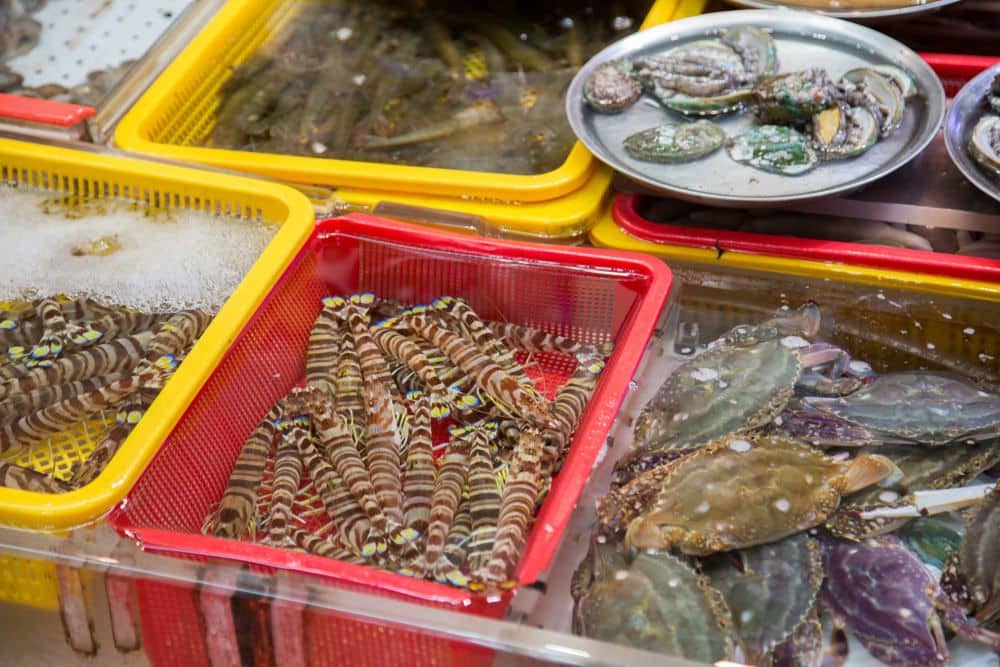 Freshly Prepared Catch