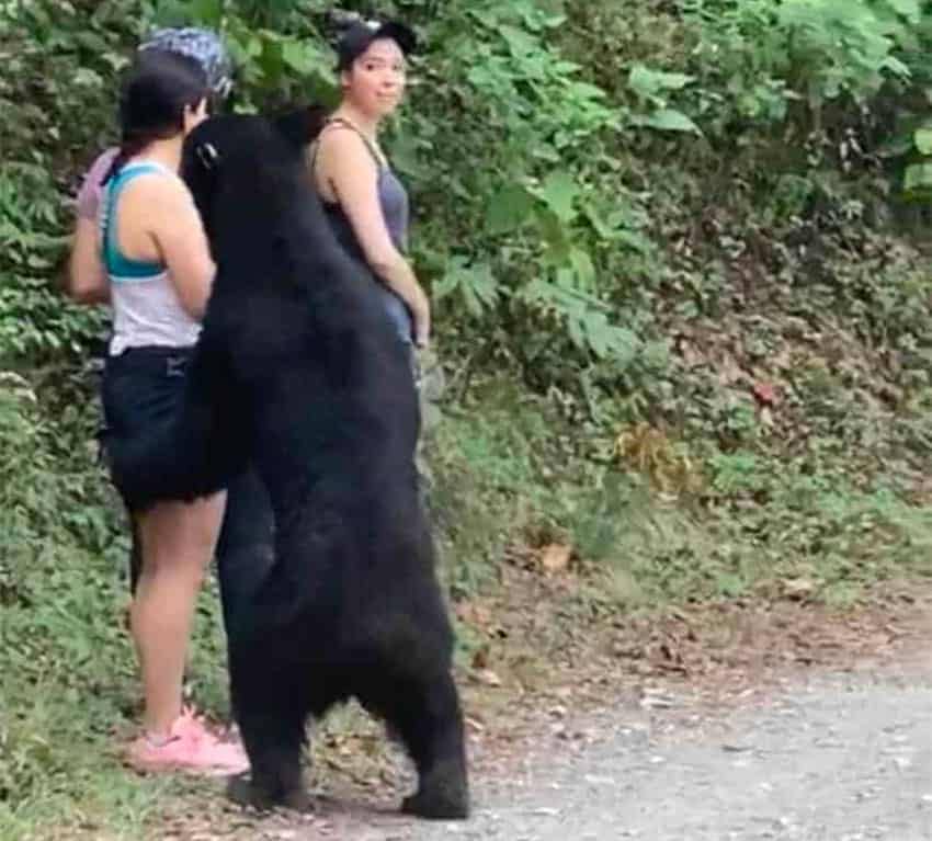 Wildlife Encounters