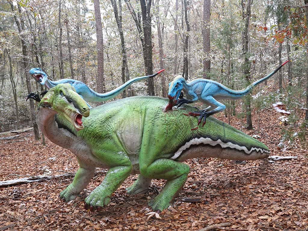 Dino Trek & Fossil Dig