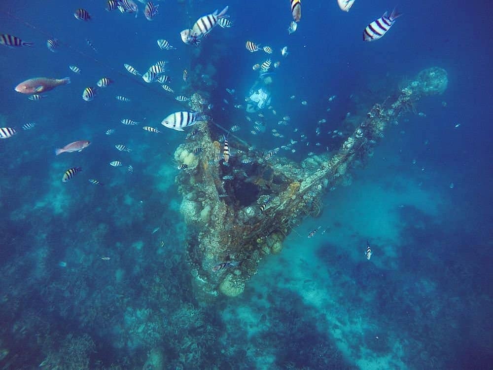 Skeleton Wreck Snorkeling