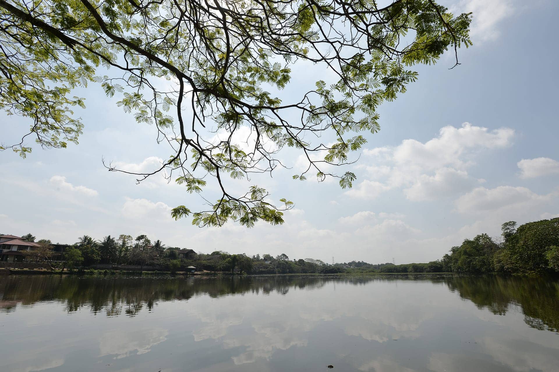 Tranquil Reservoir Views