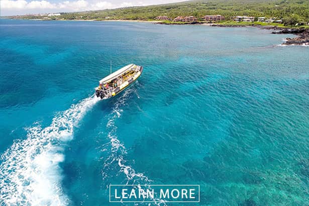 Gateway to Molokini & Turtle Town