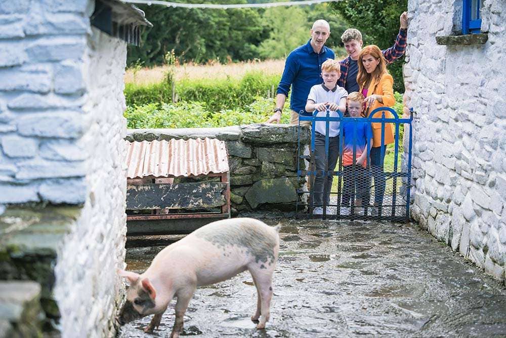 Muckross Traditional Farms