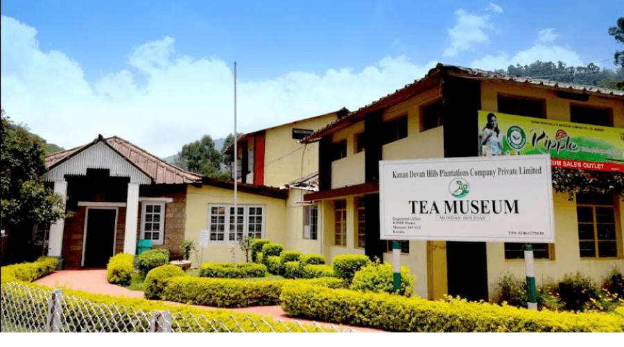 Tea Tasting & Shop