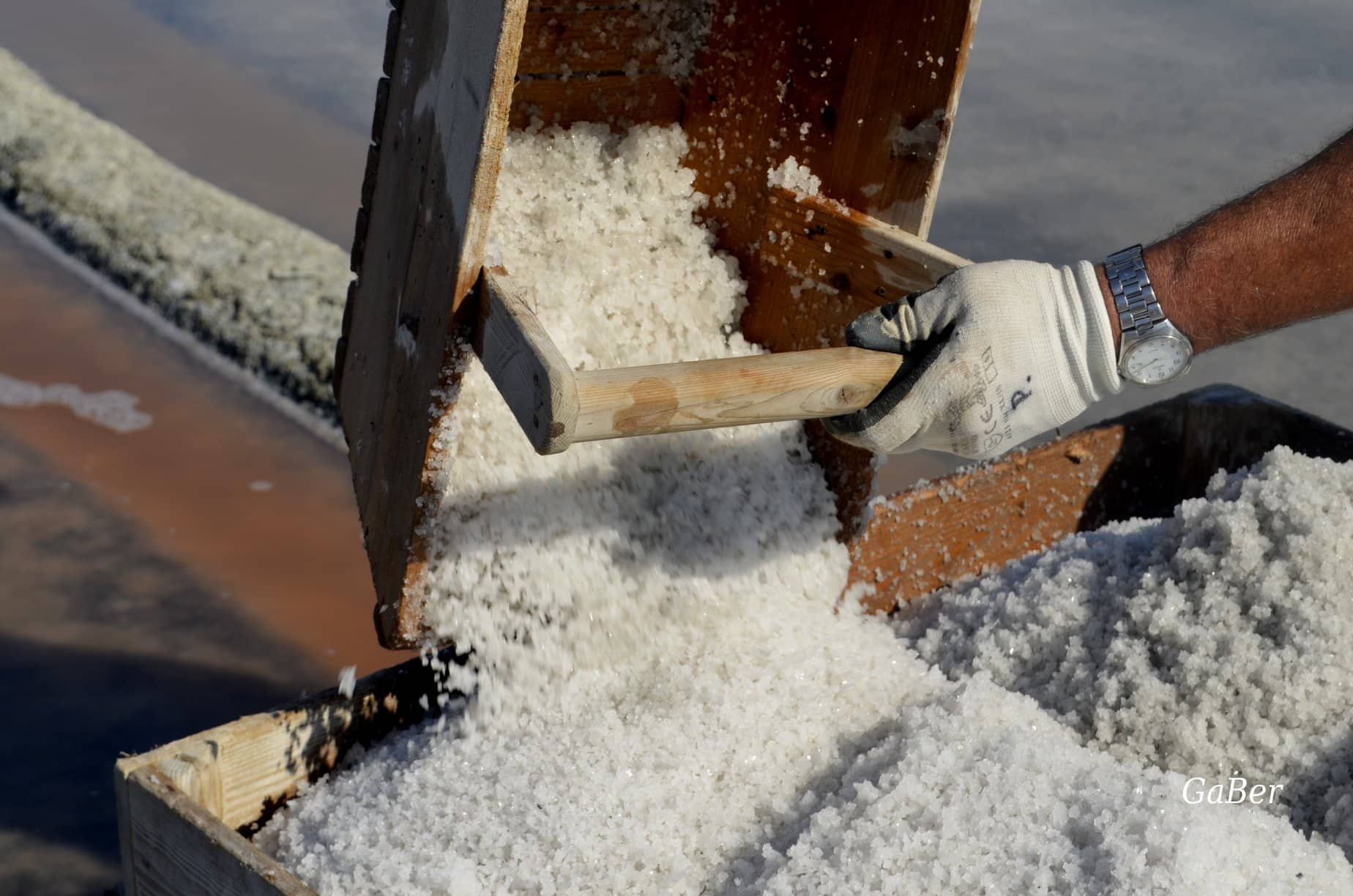 Cervia's 'Sweet' Salt