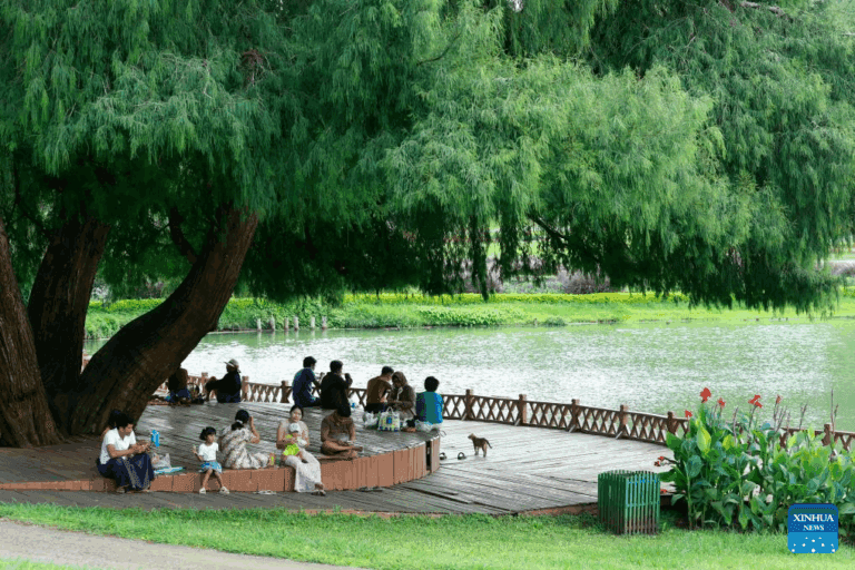 Tranquil Lakes and Pine Forests