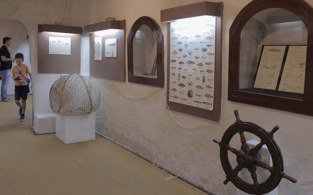 Cultural Exhibits