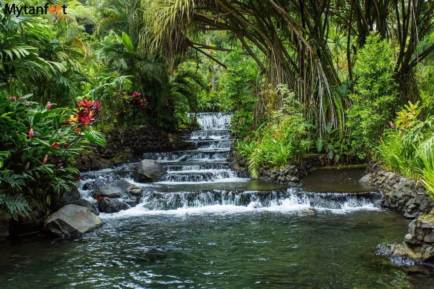 Hot Springs Relaxation