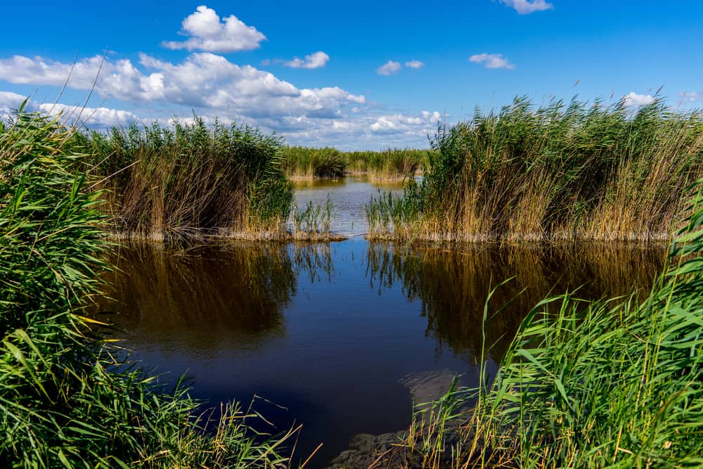 Salt Ponds and Steppe Landscapes