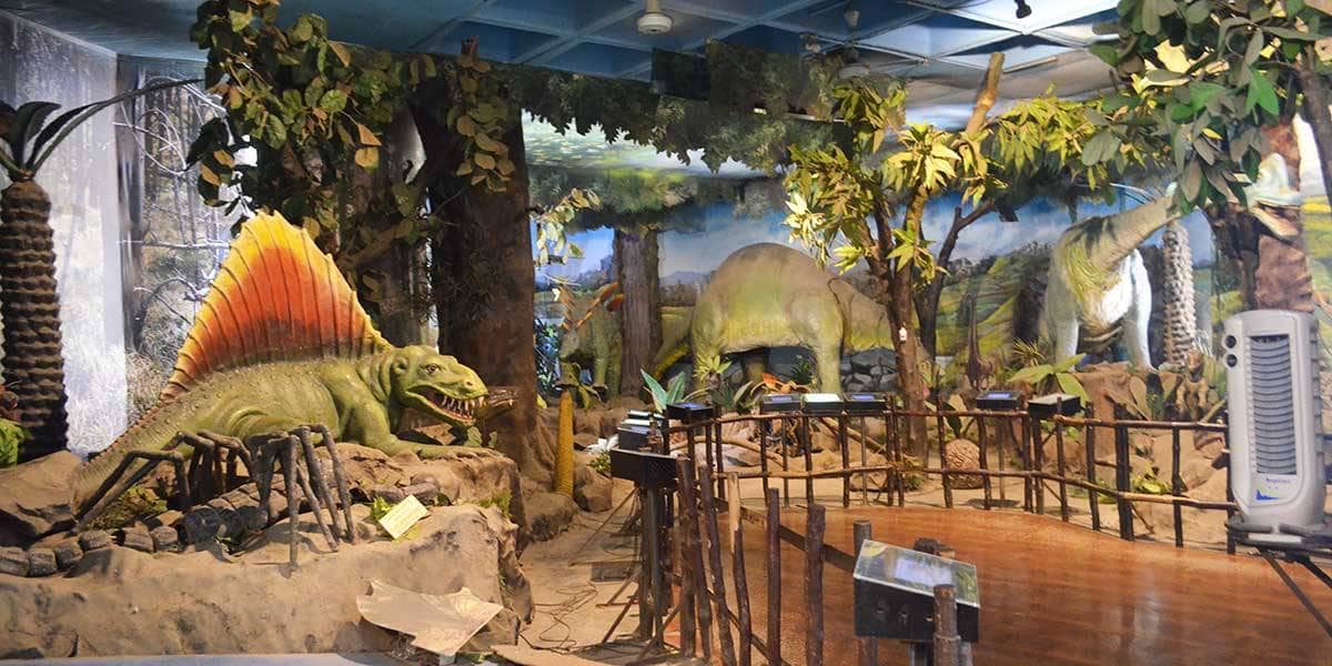 Dinosaur Exhibit