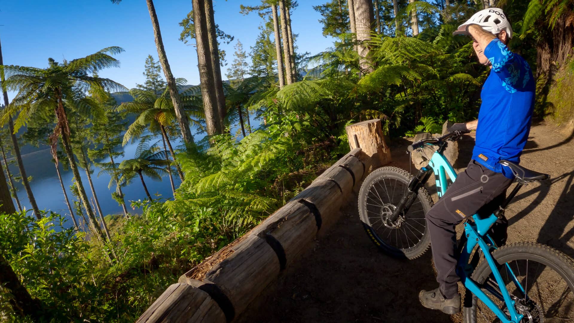 Whakarewarewa Loop Track