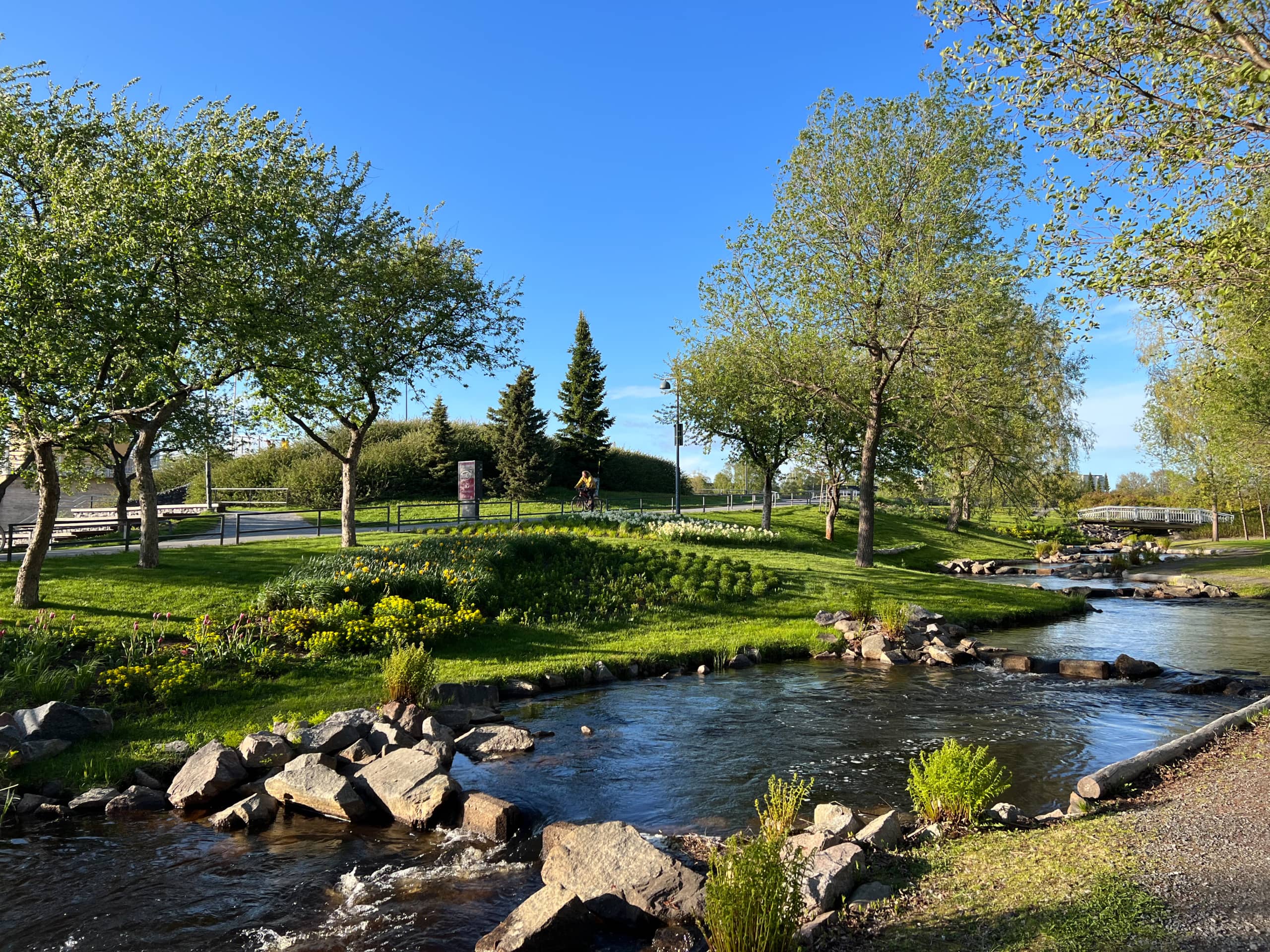 Relaxing Nature Escape