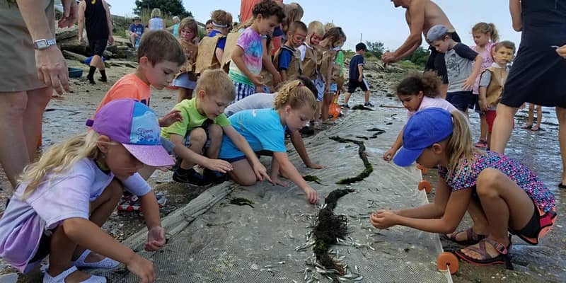Harbor Safari & Marine Life