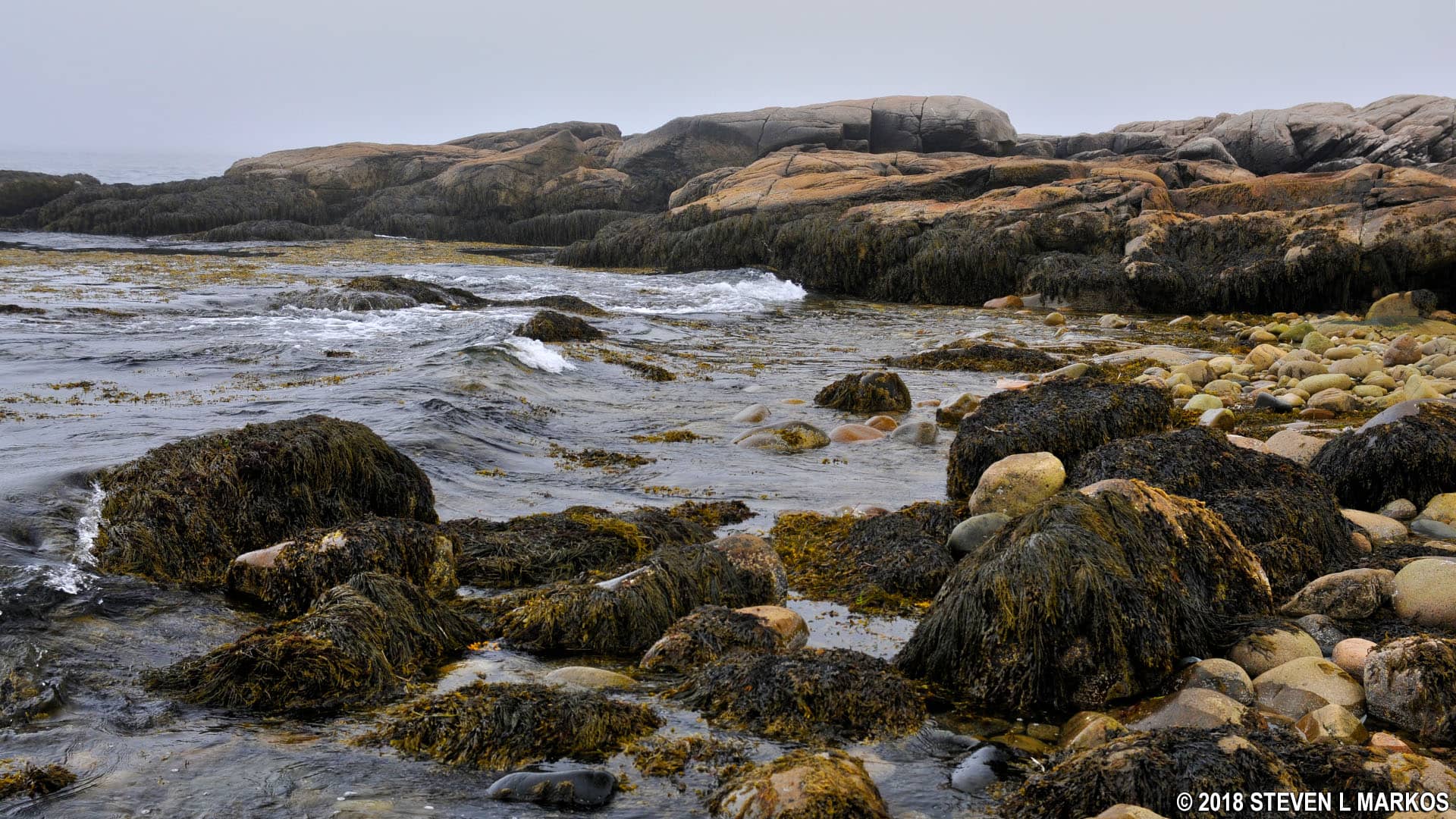 Coastal Vistas