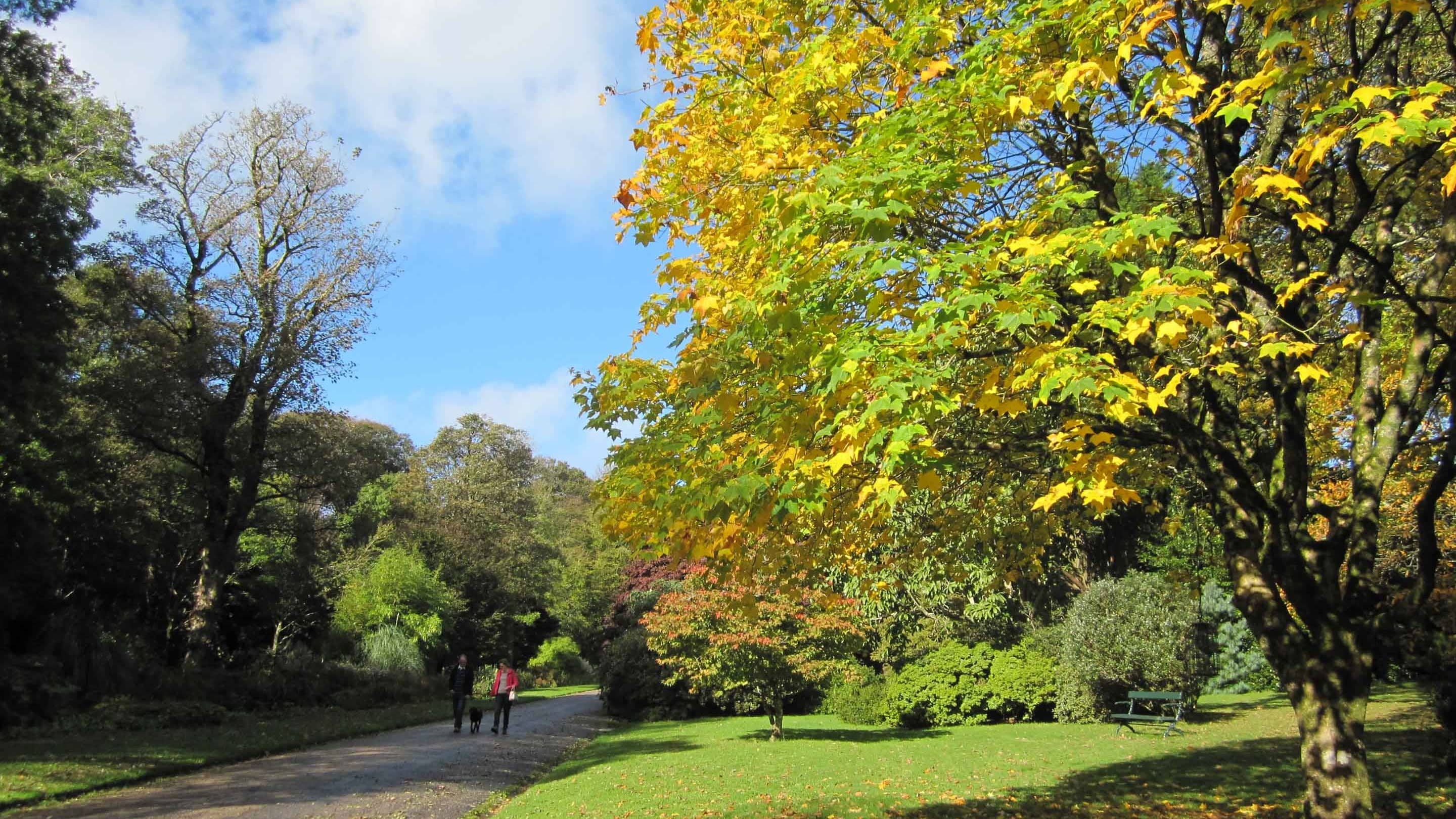 Woodland Trails