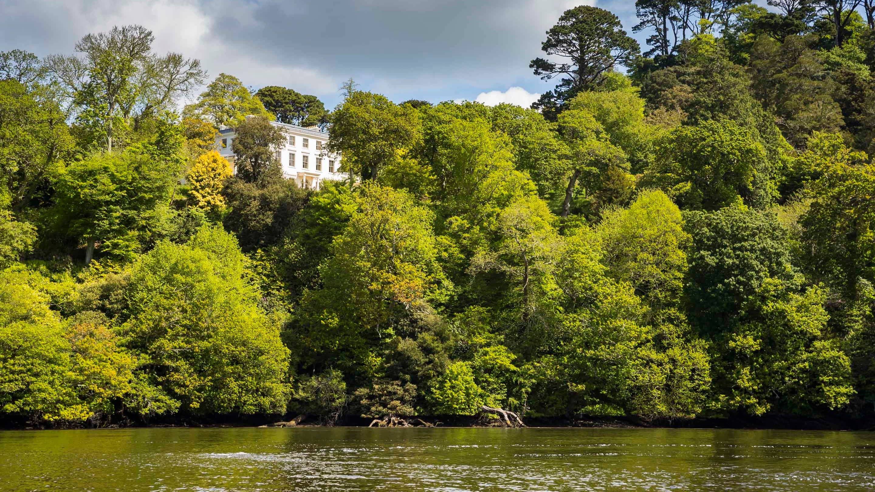 Stunning River Dart Views
