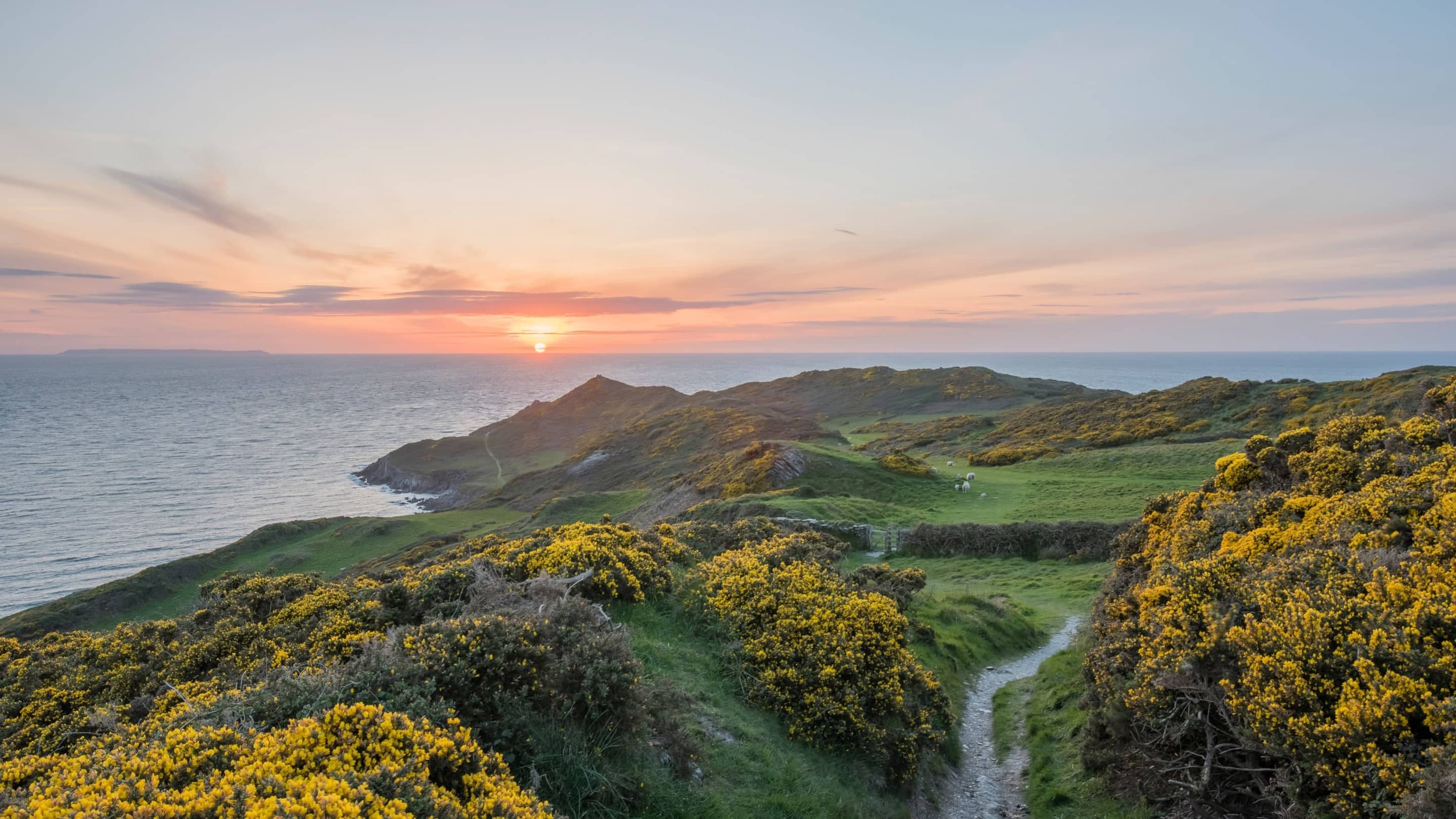 Dramatic Coastal Views