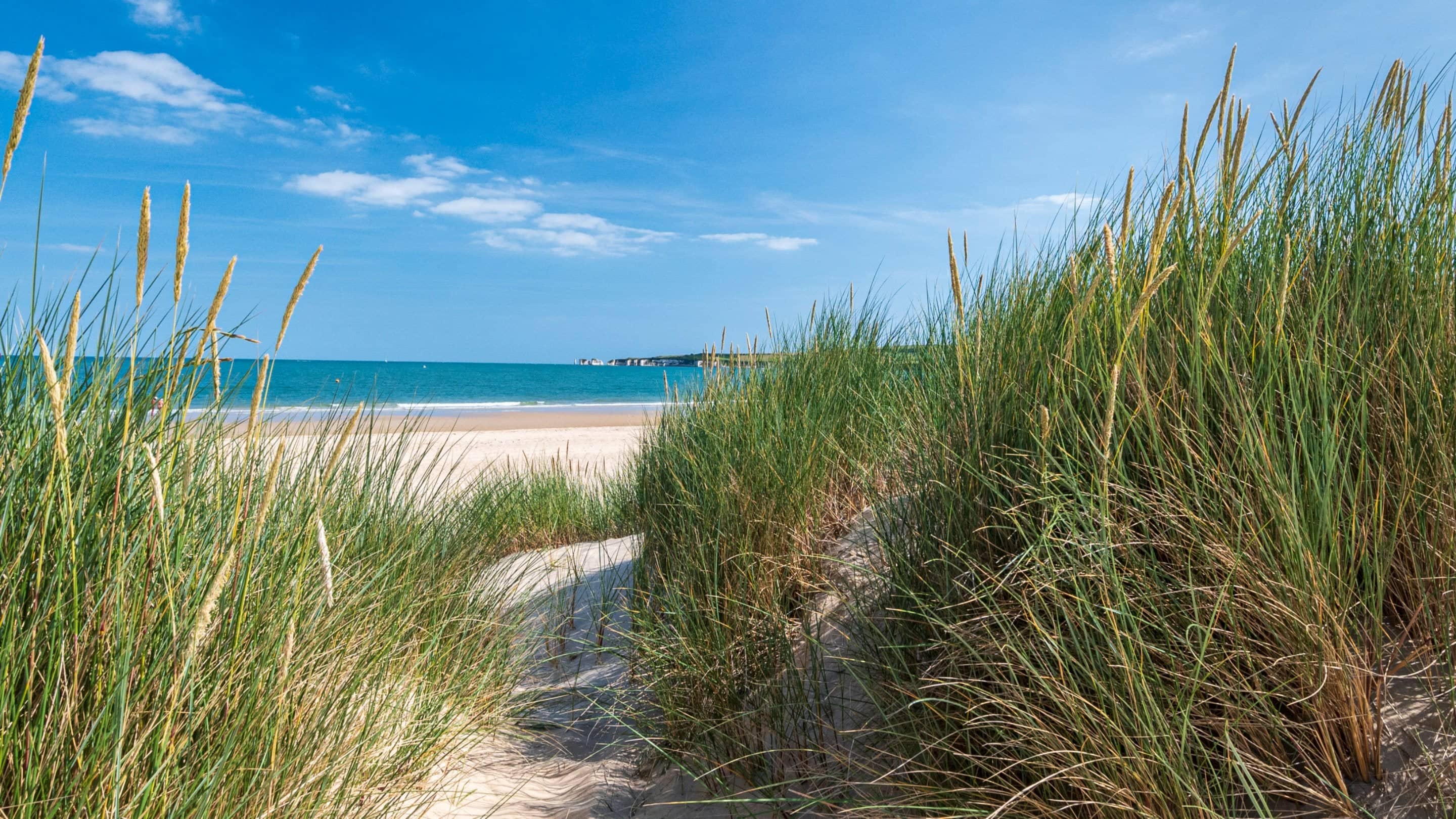 Studland Bay
