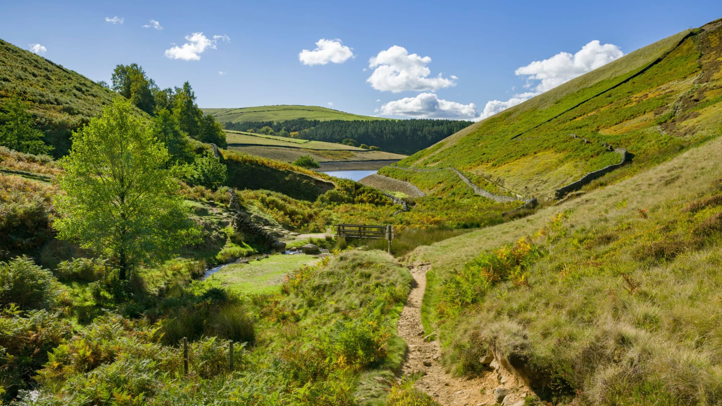 Kinder Reservoir Views