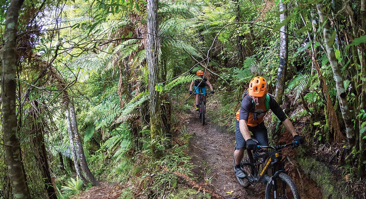 Scenic Cycling Trails