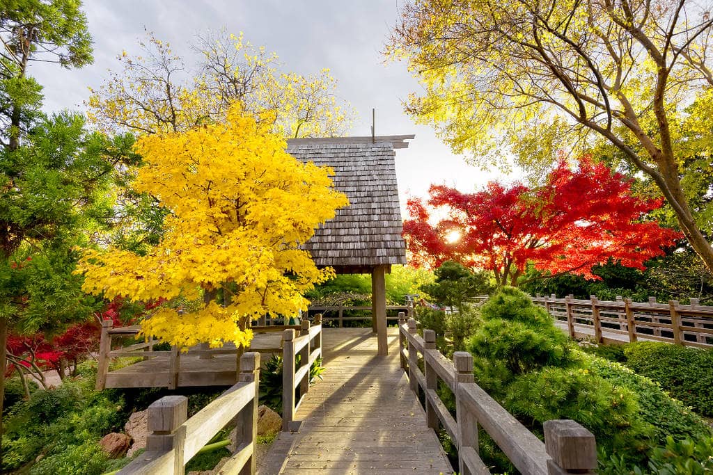 Japanese Garden