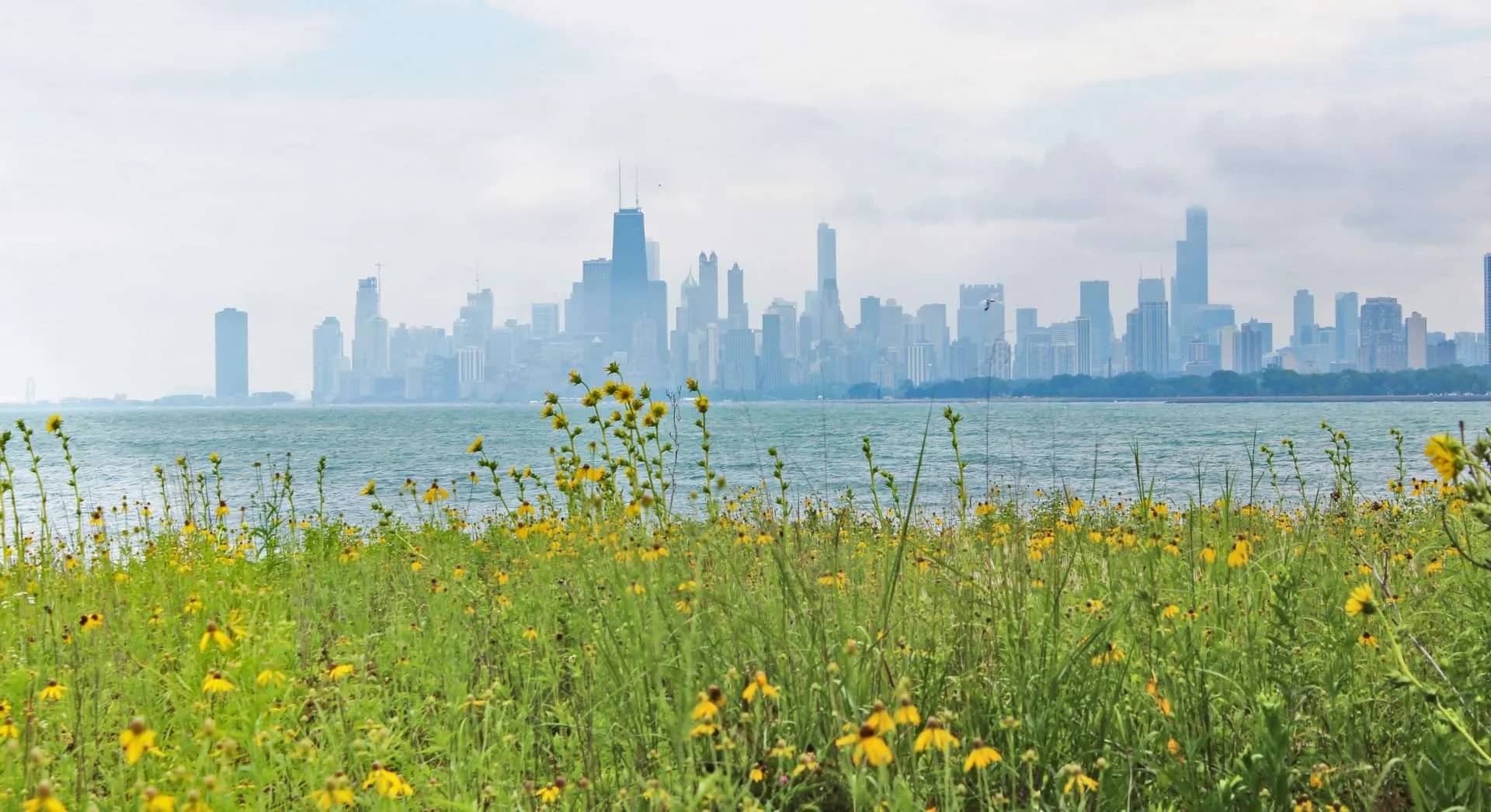 Lakeshore Views