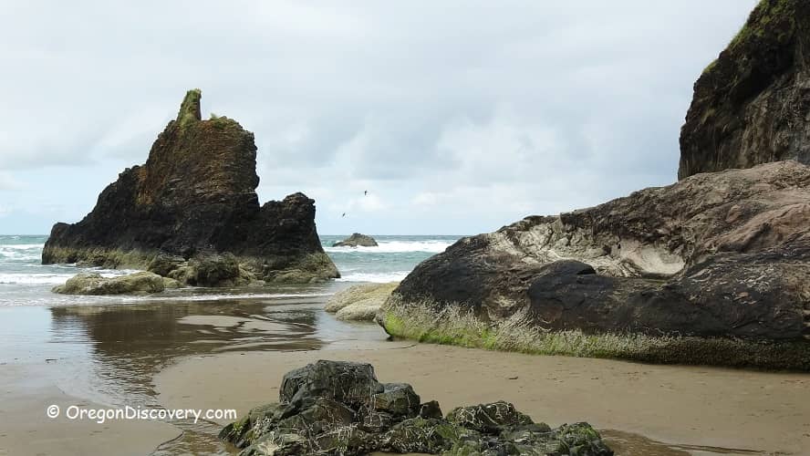 Sea Stacks and Coastal Views