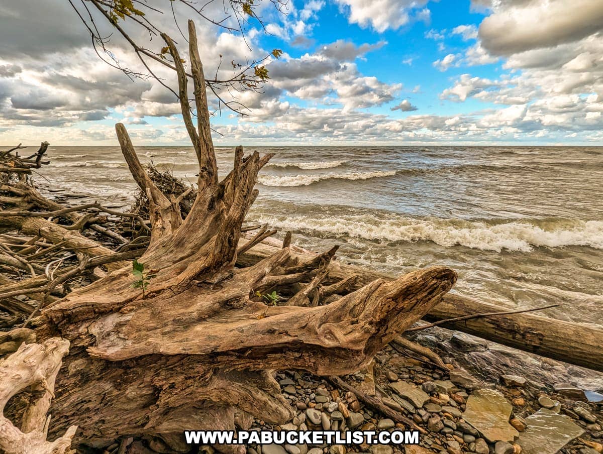 Shoreline Access
