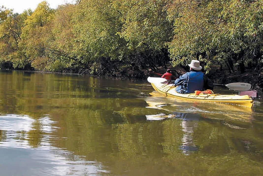 Kayaking Serenity