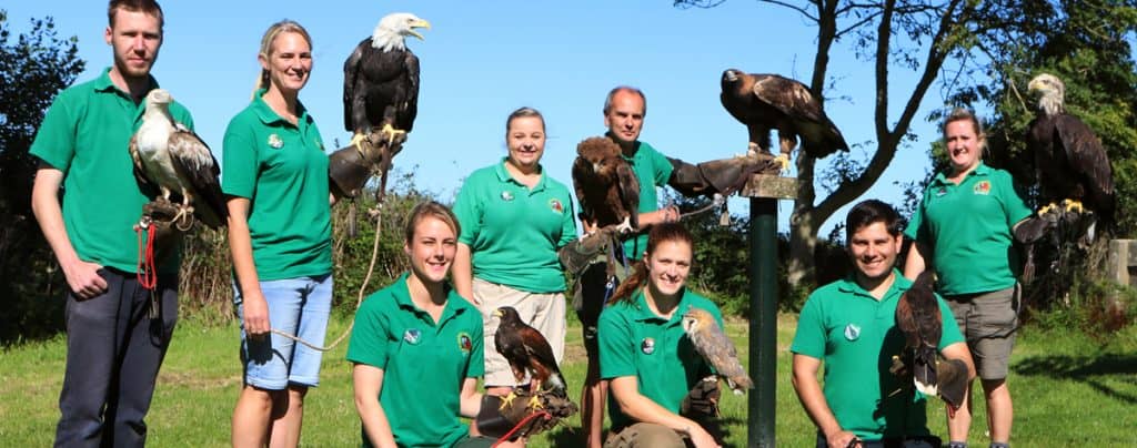Birds of Prey Show