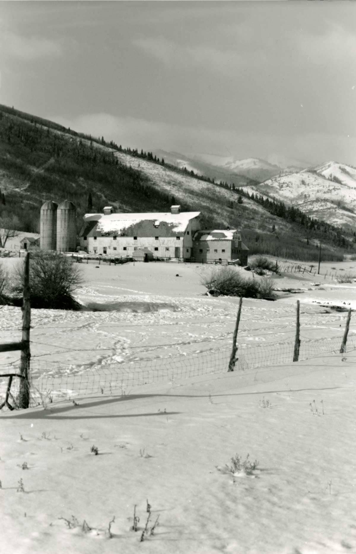 Historic Farmstead Museum