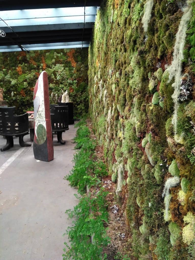 The Living Moss Wall