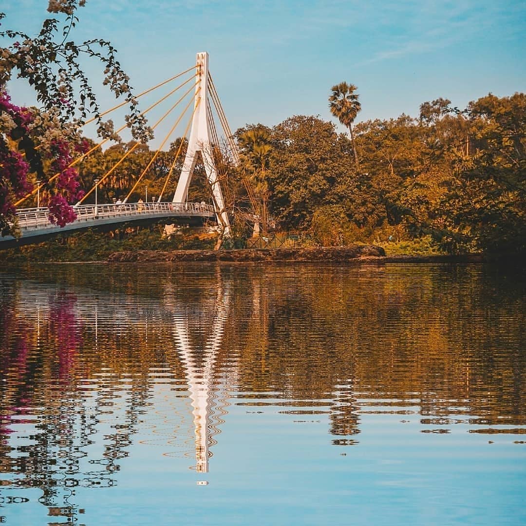 Cable-Stayed Bridge Sunset View