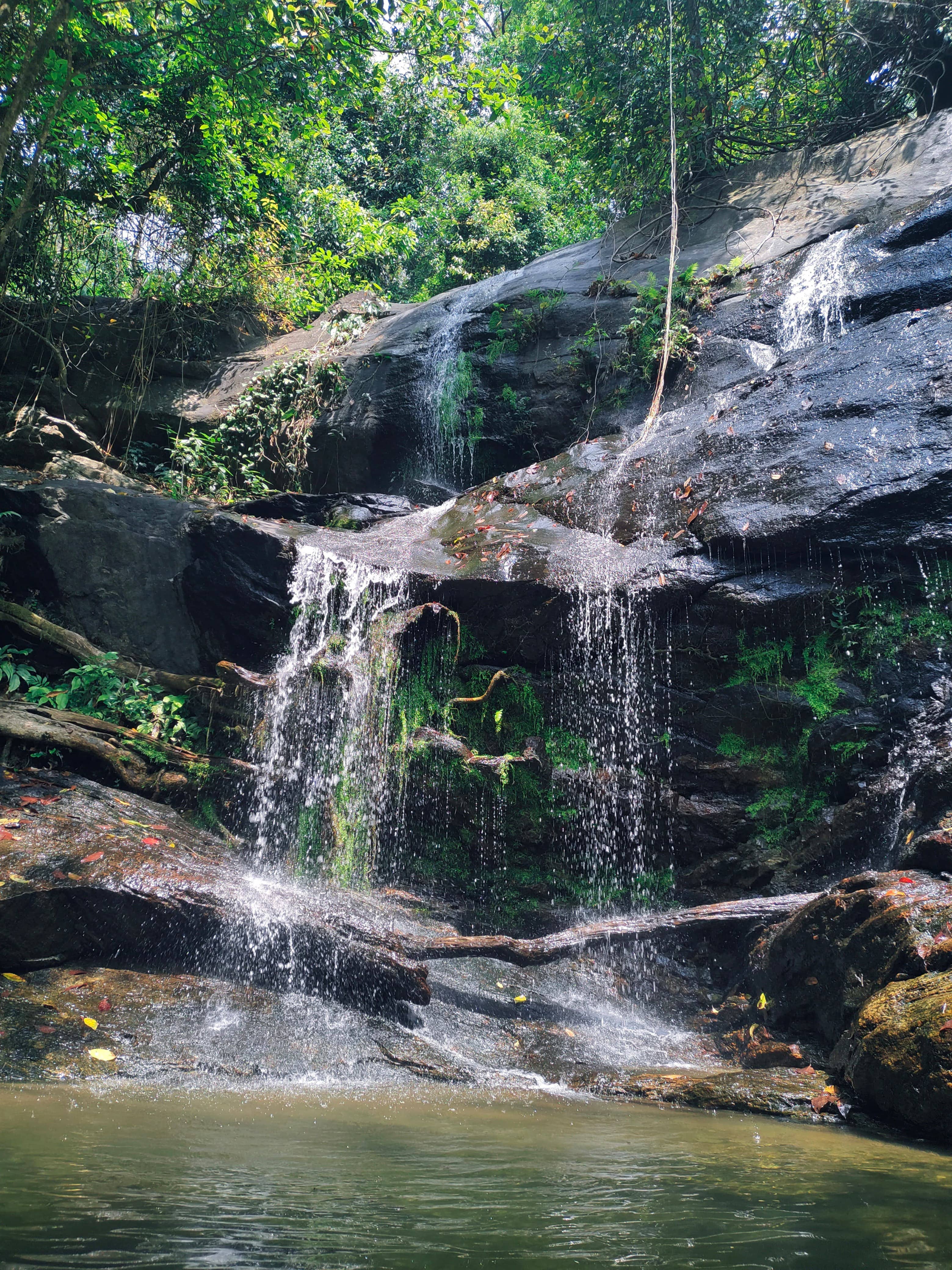 Barton Falls Trek
