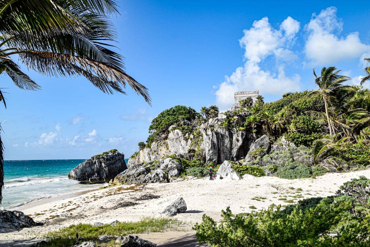 Abundant Marine Life