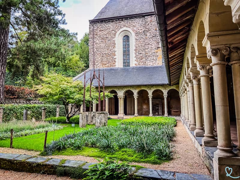 Museum Gardens