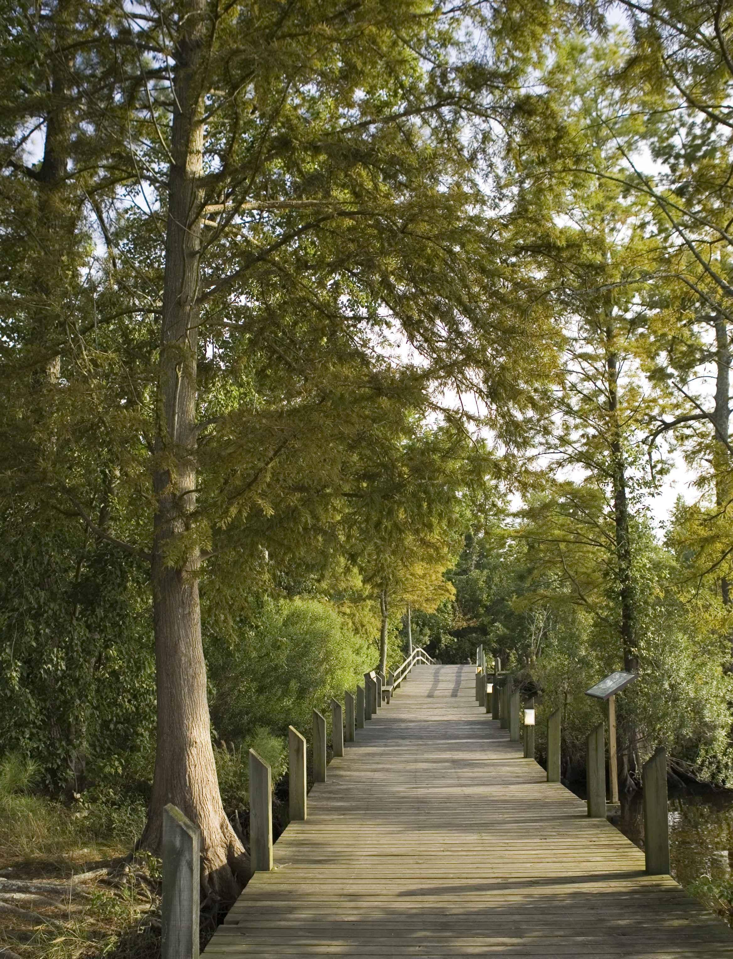Scenic Boardwalk & Trails