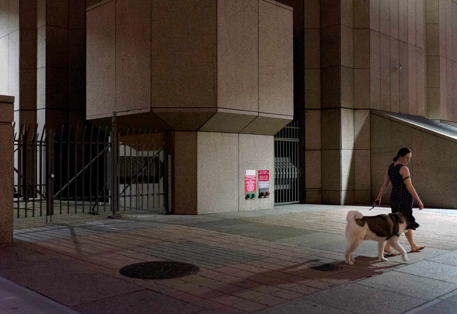 The Big Bounce America