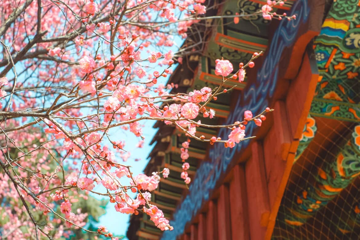 Scenic Spring and Fall Strolls