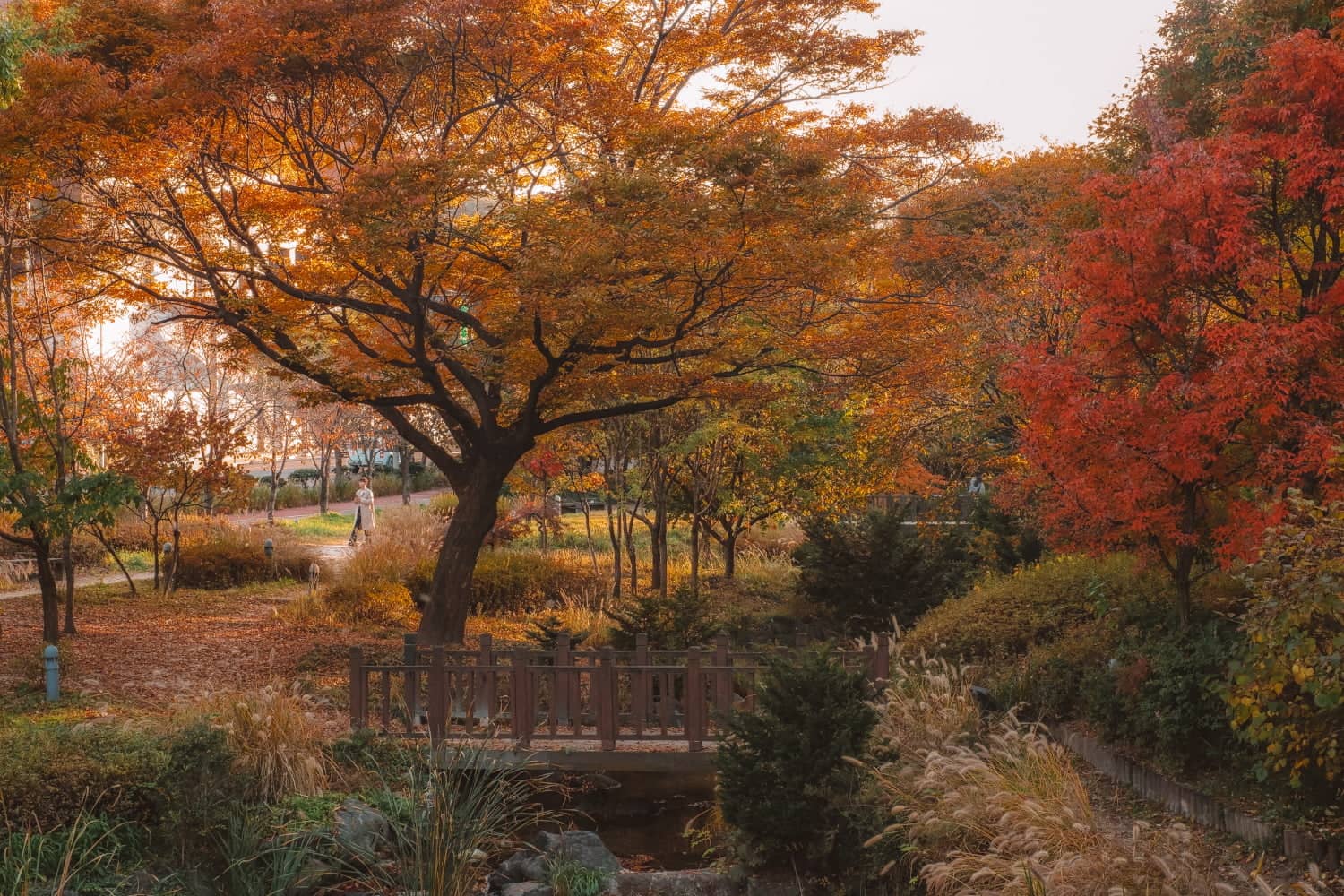 Peaceful Green Escape