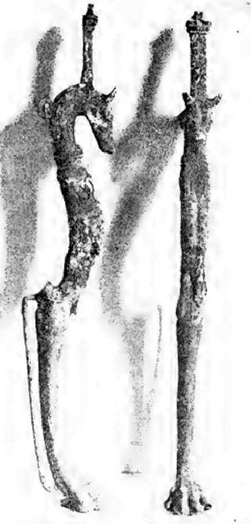 The Skeleton of Stephanus