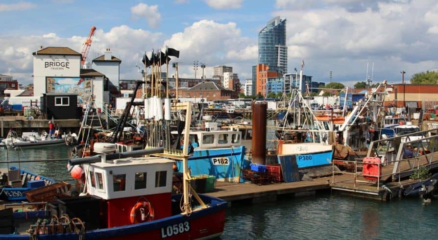 Camber Dock Activity