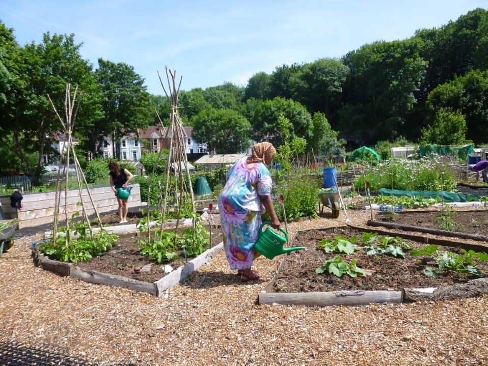 Community Gardens & Produce