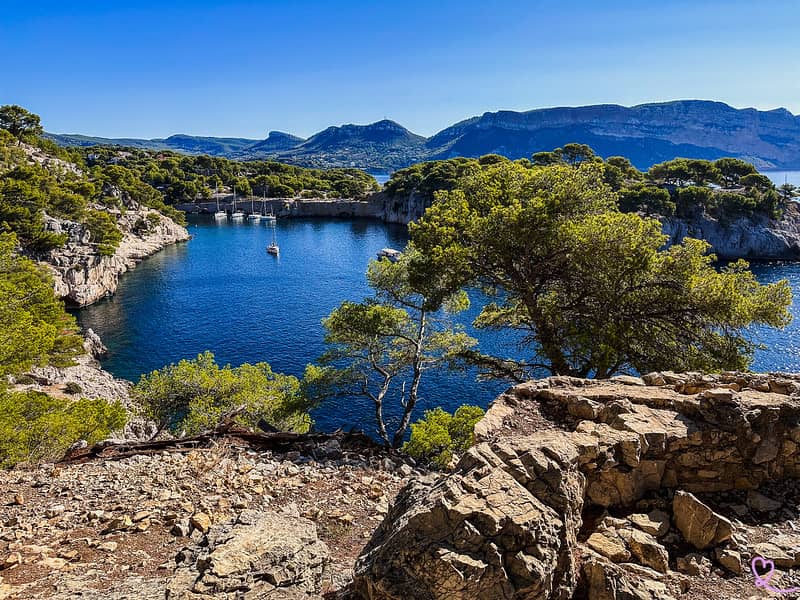 Scenic Peninsula Stroll