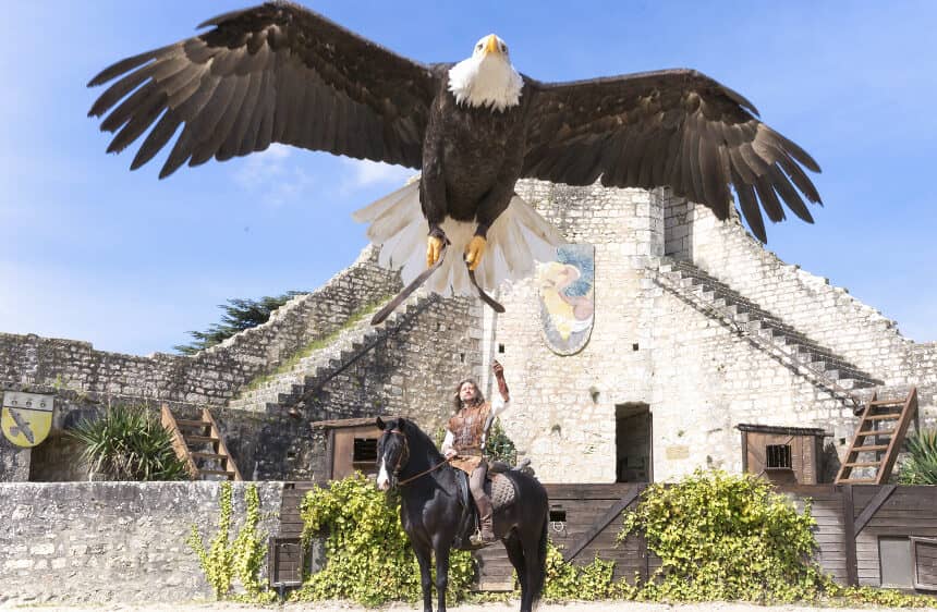 Bird of Prey Show